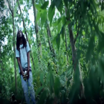 Wurk Boy, Billionaire Black and Colione Preview ‘Green Goblin’ Music Video